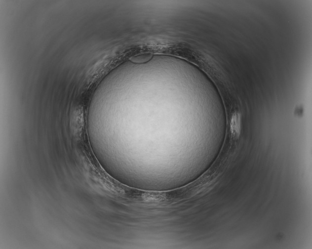 X0000115791299200911271218