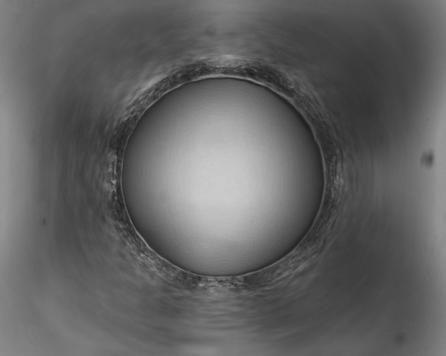 X0000115791301200911271218