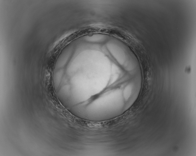 X0000115791302200911271218