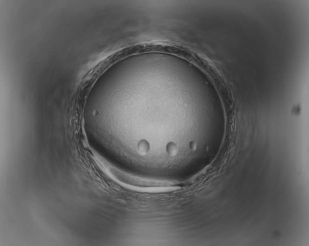 X0000115791303200911271218