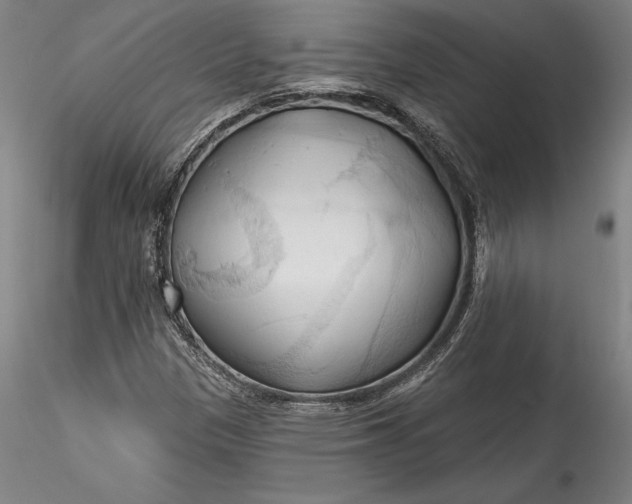 X0000115791305200911271218