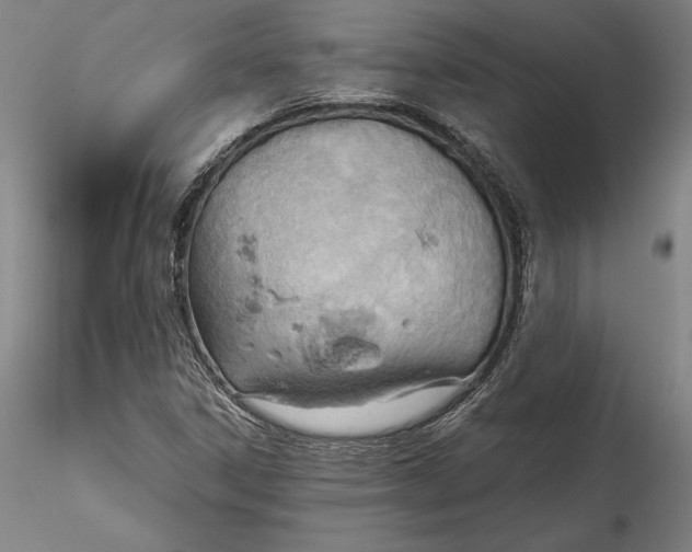 X0000115791306200911271218