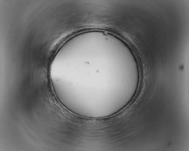 X0000115791307200911271218