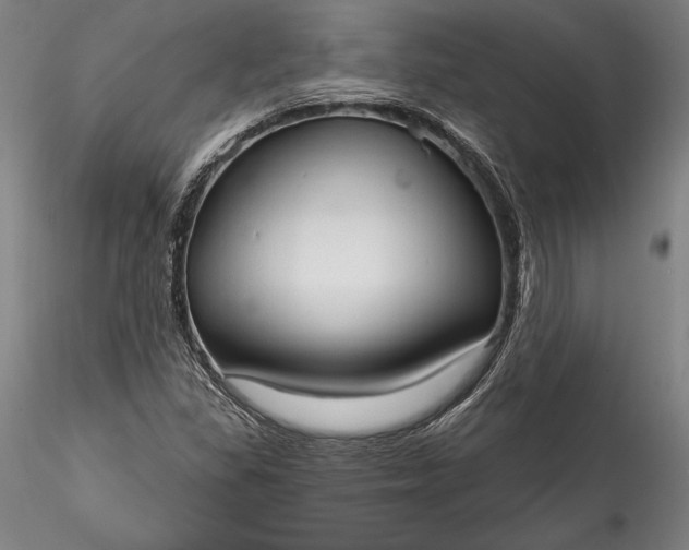 X0000115791309200911271218