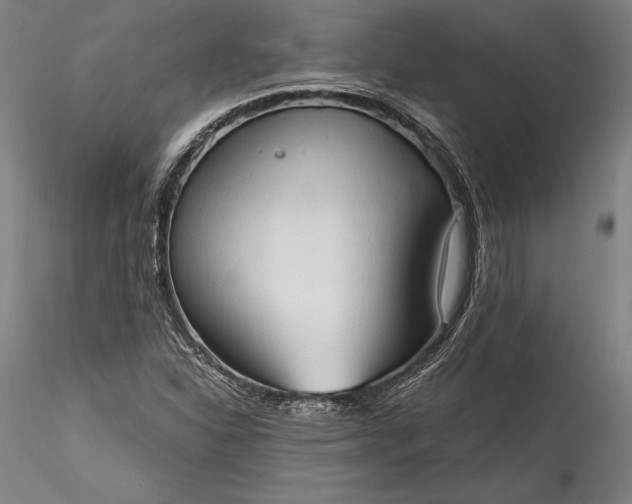 X0000115791310200911271218