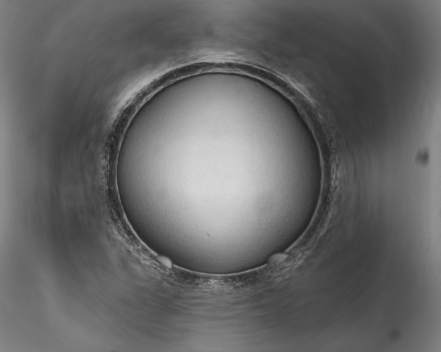 X0000115791311200911271218