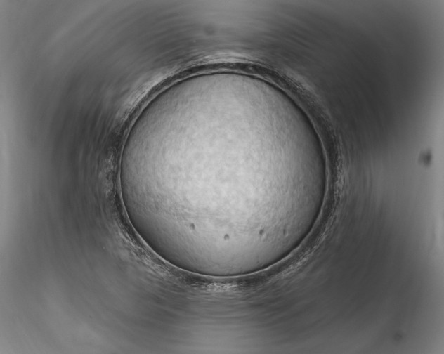 X0000115791313200911271218