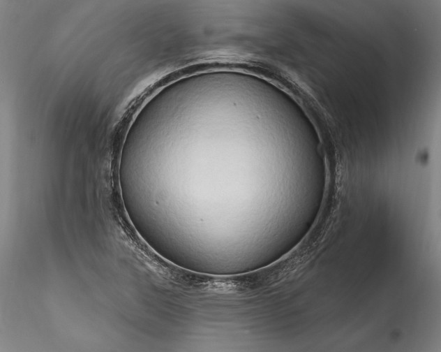 X0000115791315200911271218