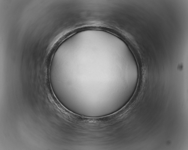 X0000115791318200911271218