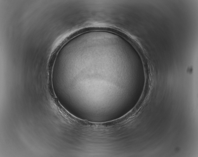 X0000115791319200911271218