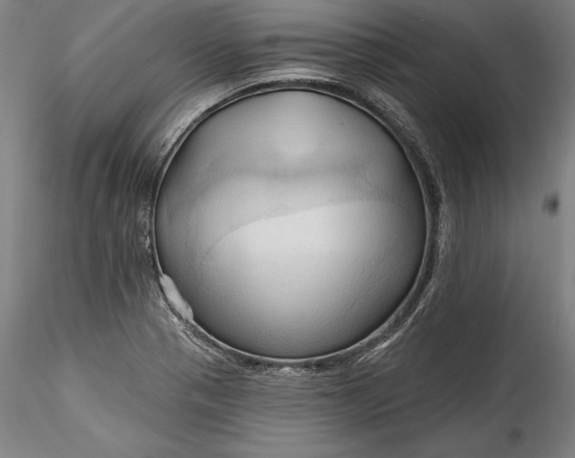 X0000115791321200911271218