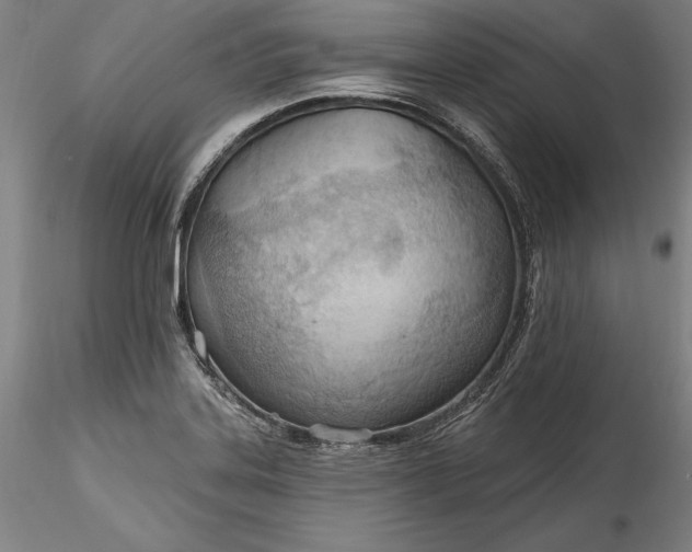 X0000115791323200911271218