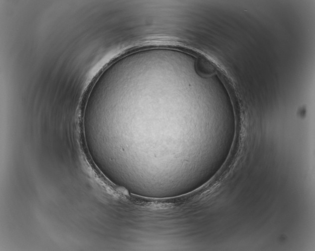 X0000115791325200911271218