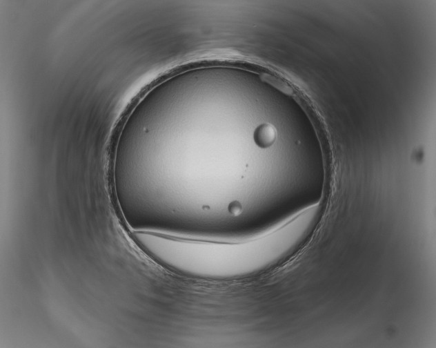 X0000115791326200911271218