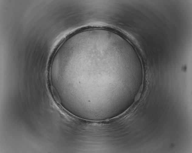 X0000115791327200911271218