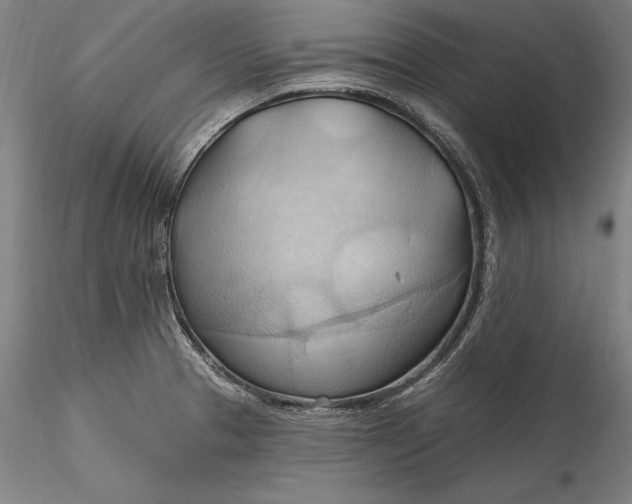 X0000115791329200911271218