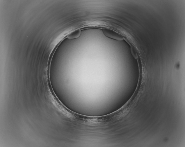 X0000115791330200911271218