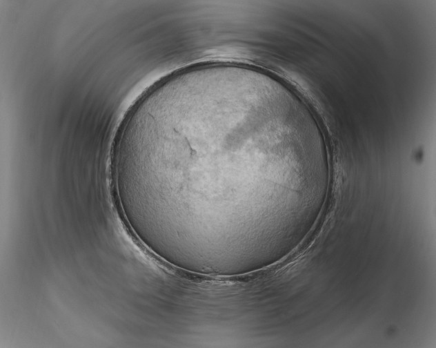 X0000115791331200911271218