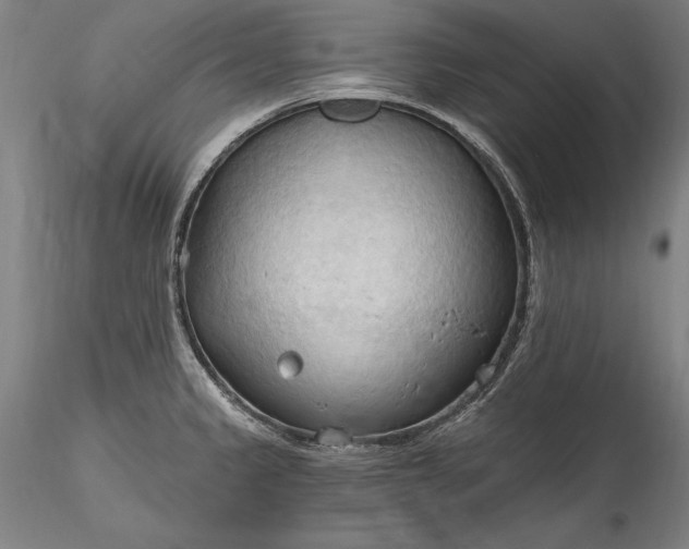 X0000115791333200911271218