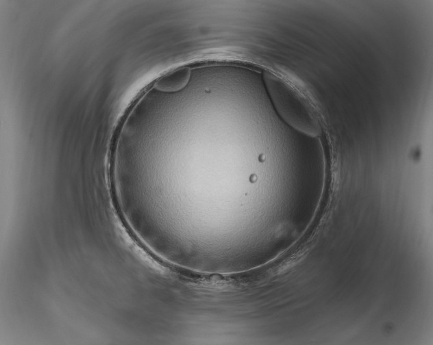 X0000115791334200911271218