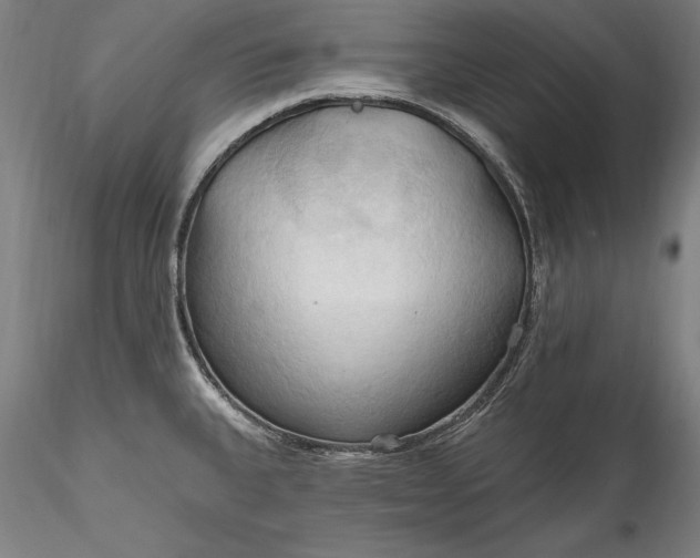 X0000115791335200911271218