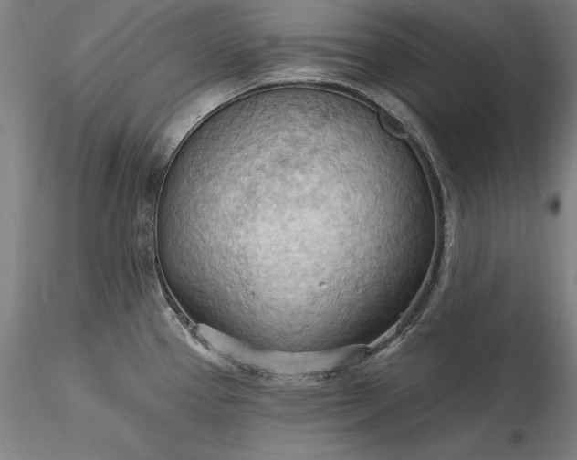 X0000115791337200911271218