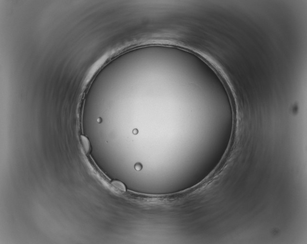 X0000115791341200911271218