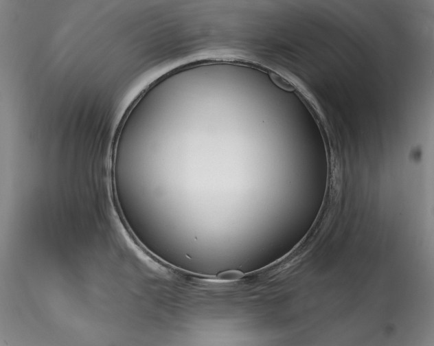 X0000115791343200911271218