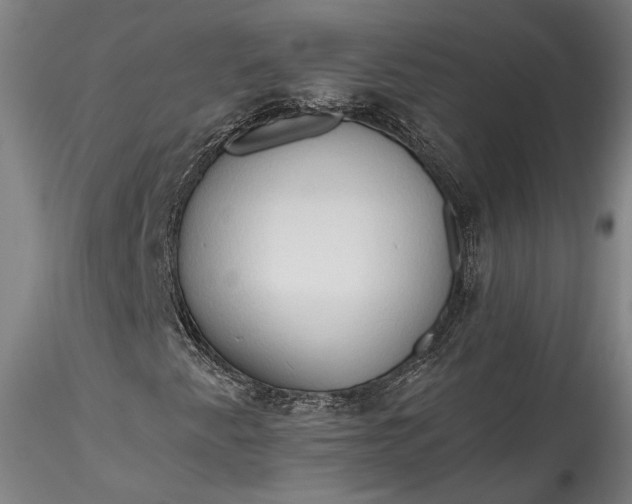 X0000115791345200911271217