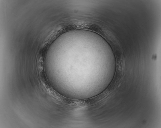 X0000115791346200911271217