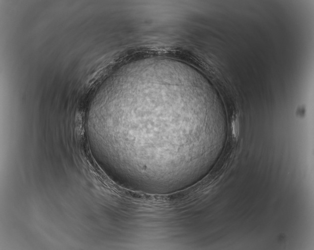 X0000115791347200911271217