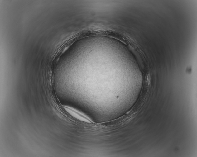 X0000115791348200911271217