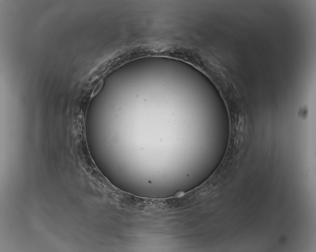 X0000115791349200911271217