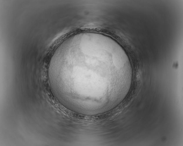 X0000115791350200911271217