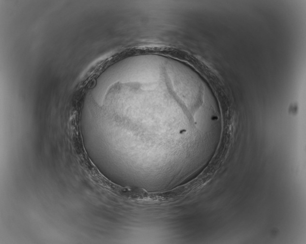 X0000115791351200911271217