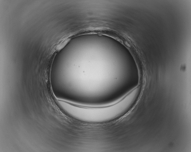 X0000115791353200911271217