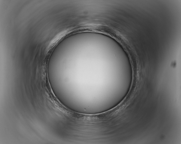 X0000115791354200911271217