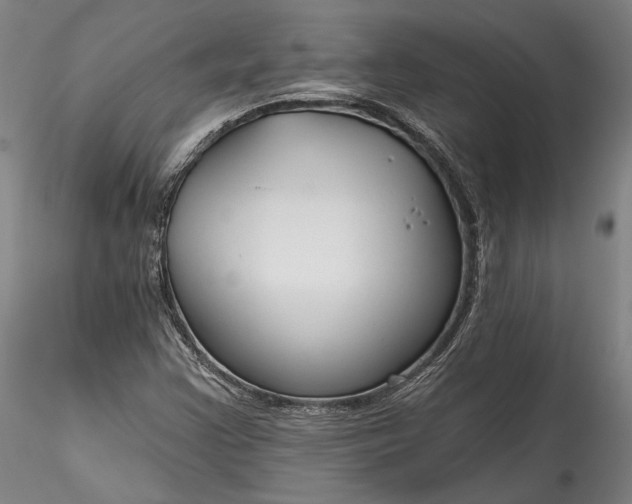 X0000115791355200911271217