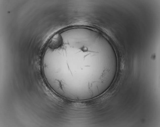 X0000115791356200911271217