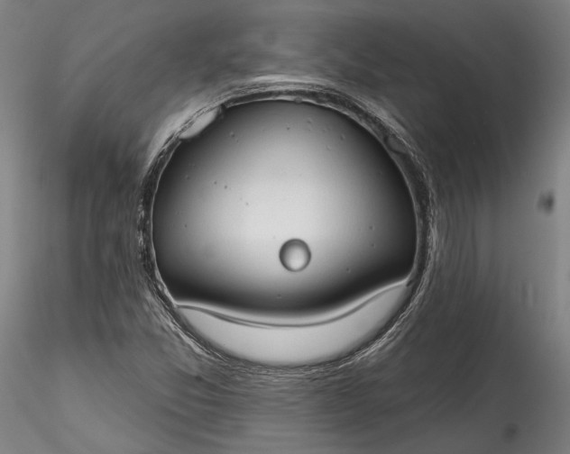 X0000115791357200911271217