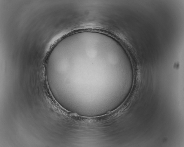 X0000115791358200911271217