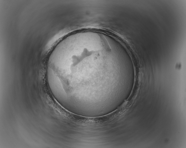 X0000115791359200911271217