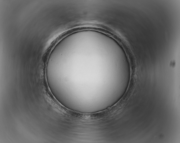 X0000115791360200911271217