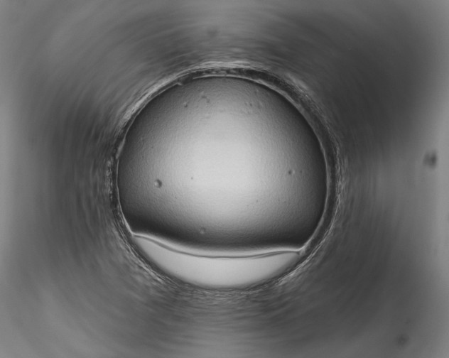 X0000115791361200911271217