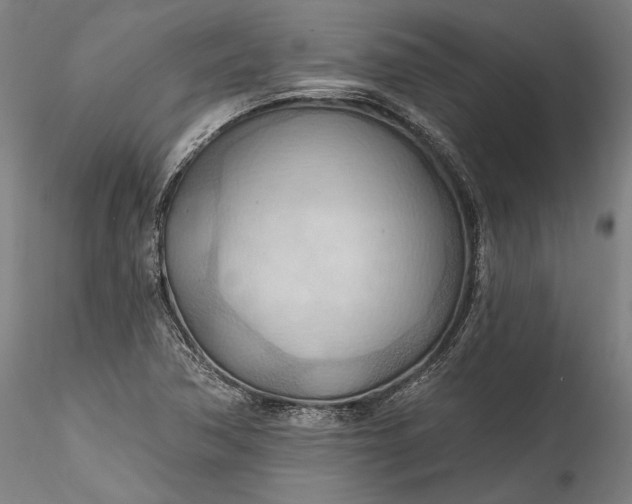 X0000115791362200911271217