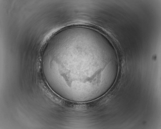 X0000115791363200911271217