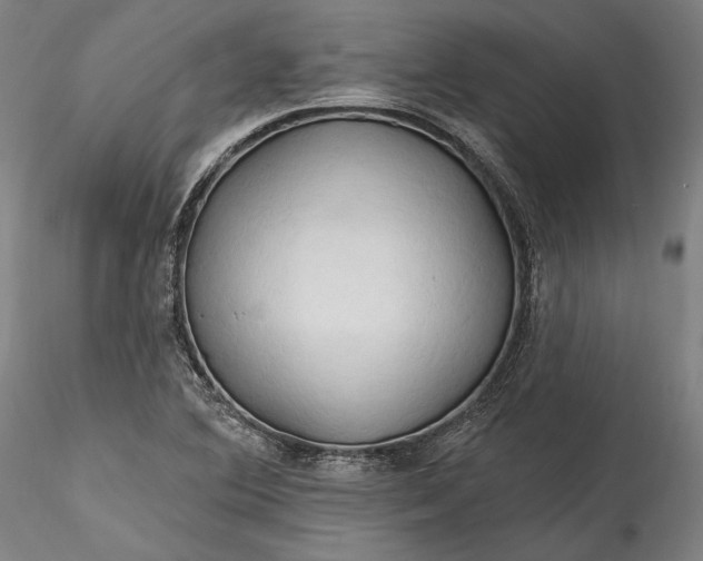 X0000115791364200911271217