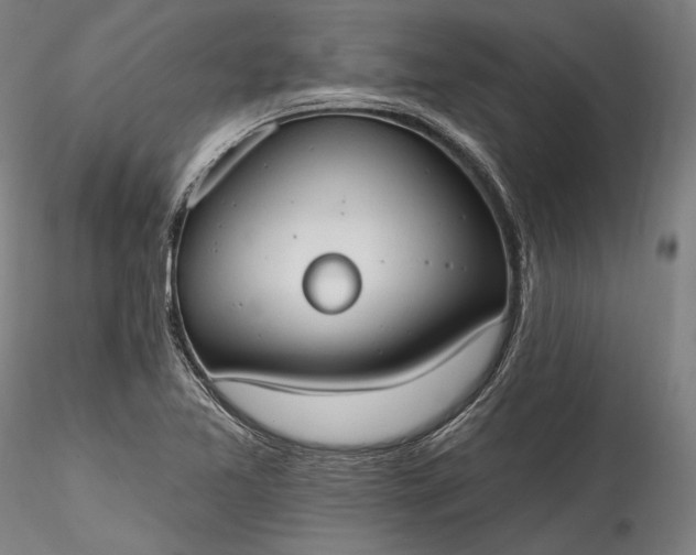 X0000115791365200911271217