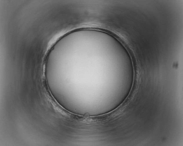 X0000115791366200911271217