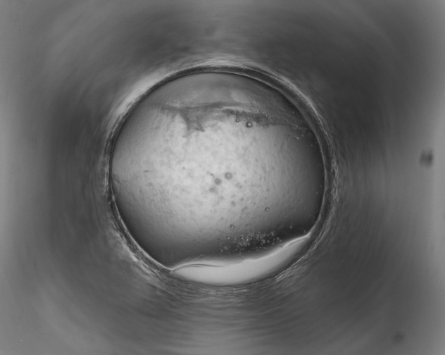 X0000115791367200911271217